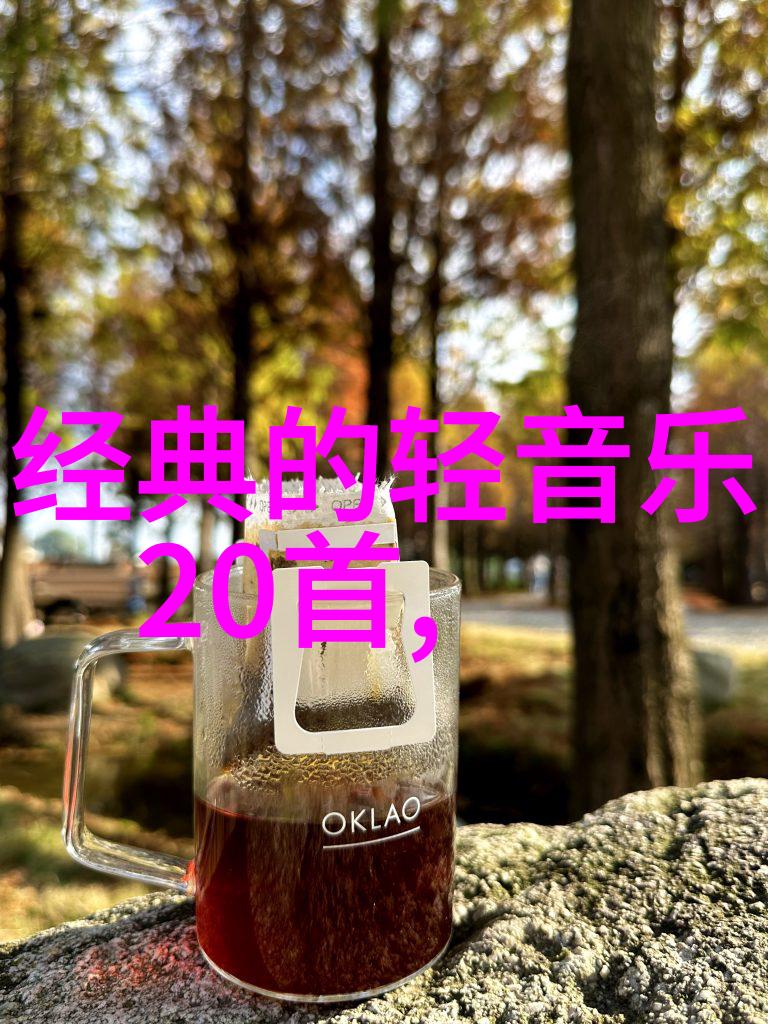 娱乐场所管理大作战笑声与秩序的和谐协奏