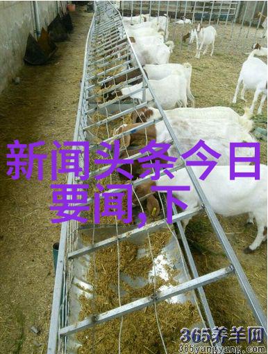 镜中花影杨紫写真集