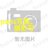 新浪娱乐新闻的数字化转型与内容创新的研究探索网络时代娱乐信息传播的新模式