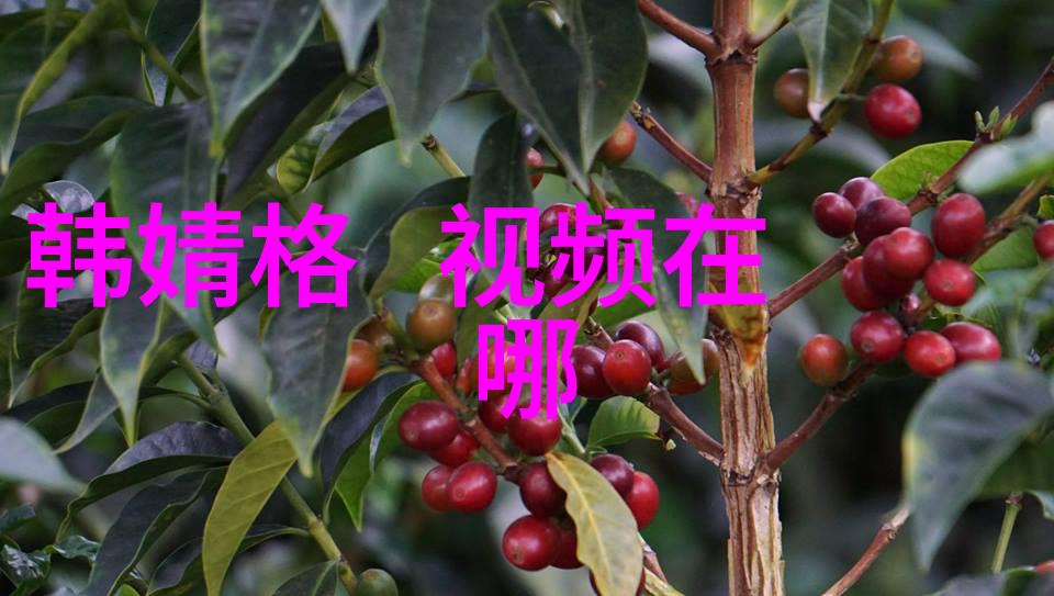 策驰影视山河月明揭秘铁铉真面目好人还是恶人