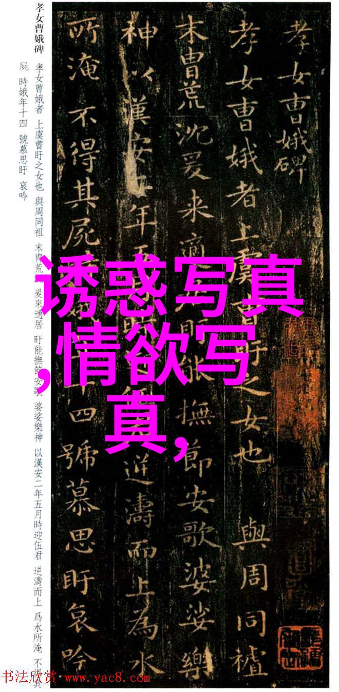 高清优质的免费图片素材高质量无版权图片资源