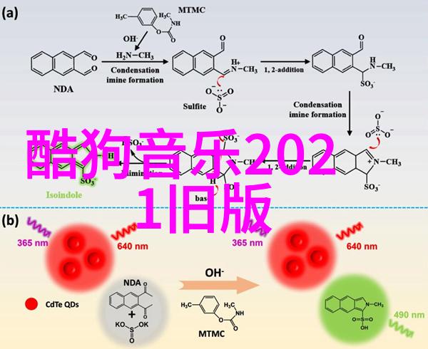 五行八卦运转图解读与实践方法