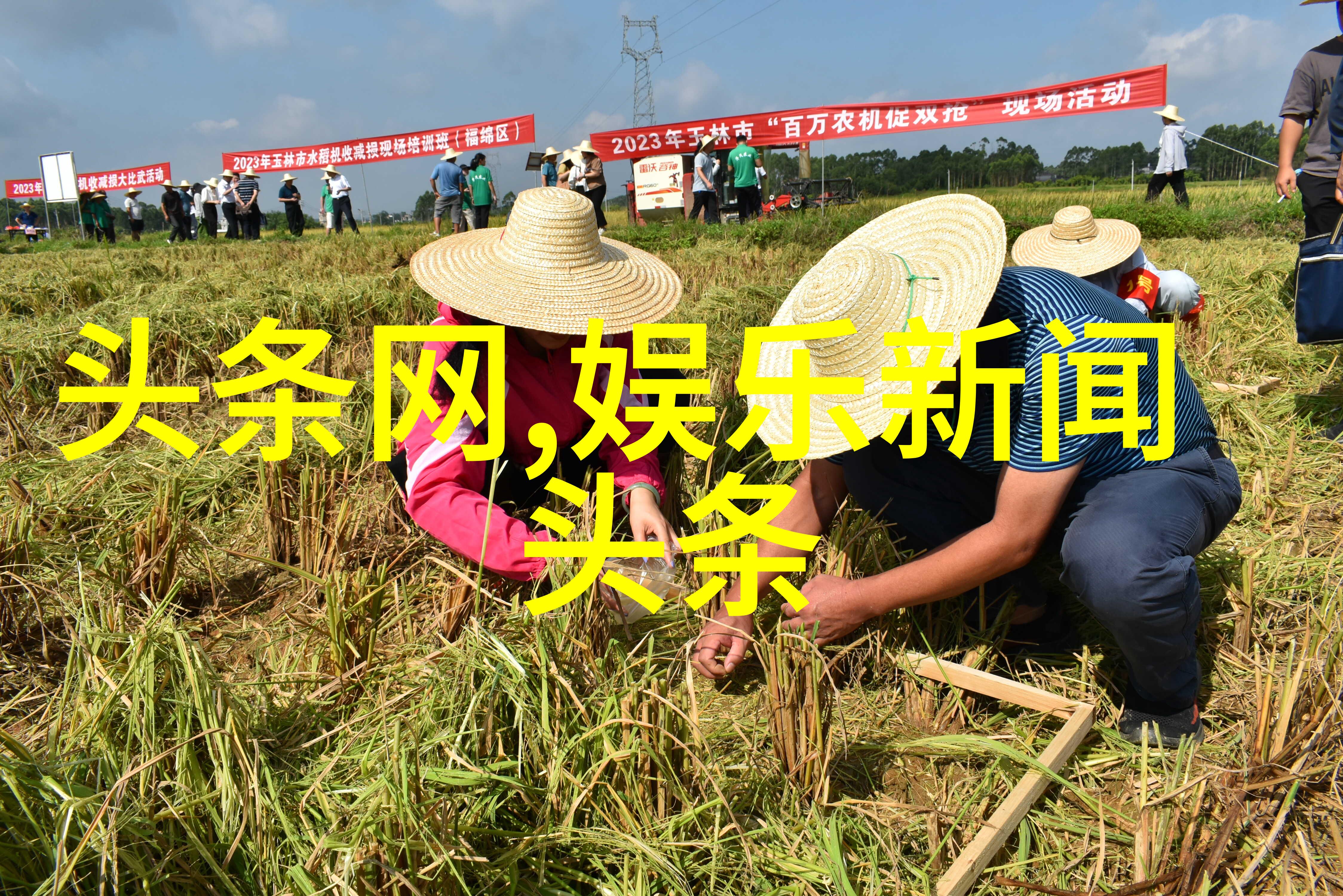东北风情与时尚网红如何将两者融为一体