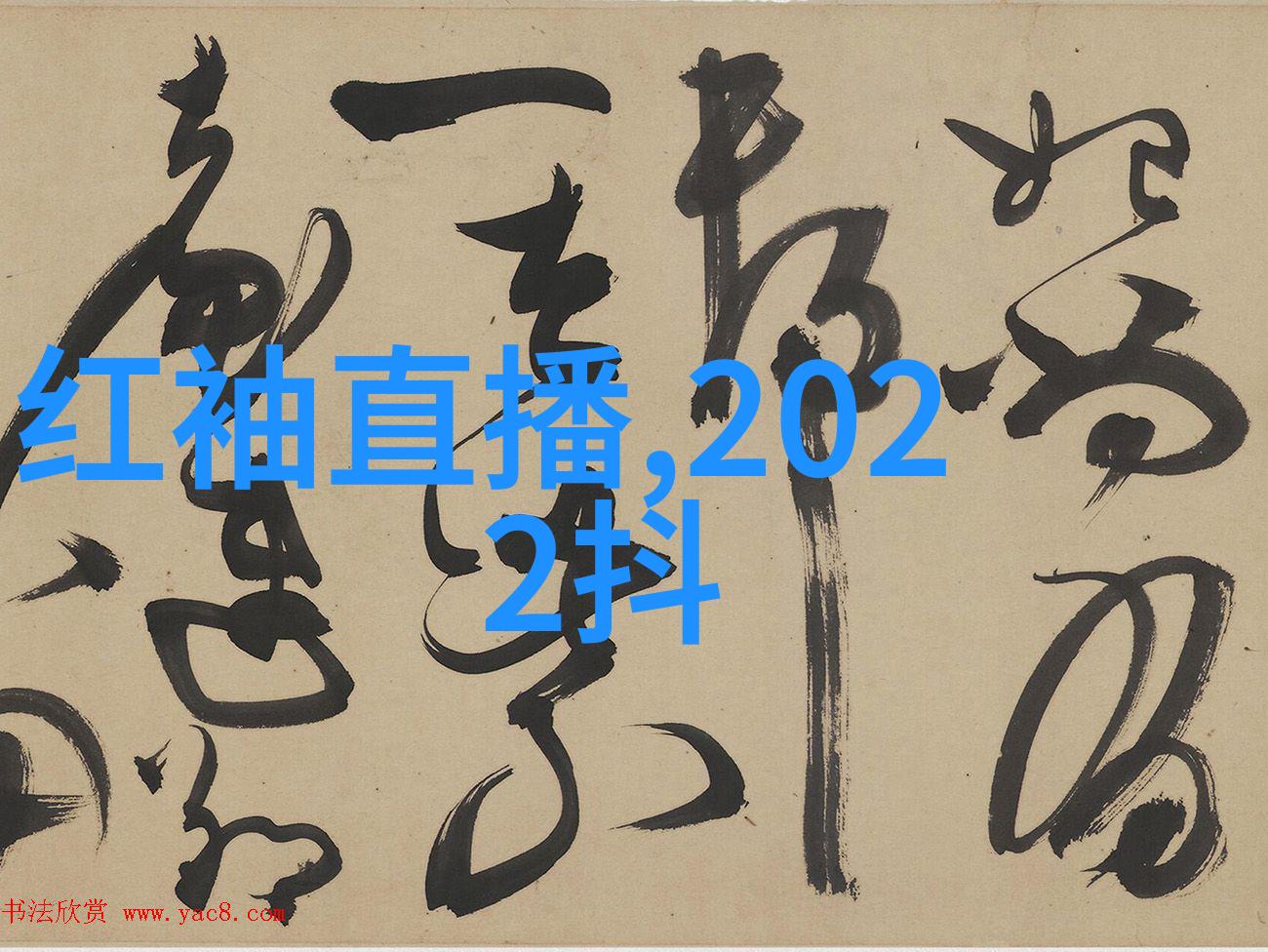 主题我在韩国综艺节目里找到了快乐的秘诀