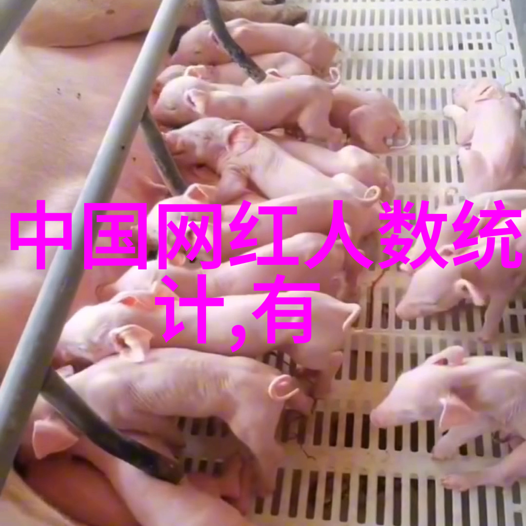 沉浸于旋律之旅寻找世间最美妙的纯音乐