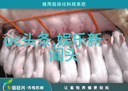 对付八卦公众人物该怎么办