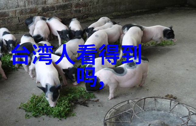 吴亦凡传记-前世的轮回吴亦凡对命运的深邃探索