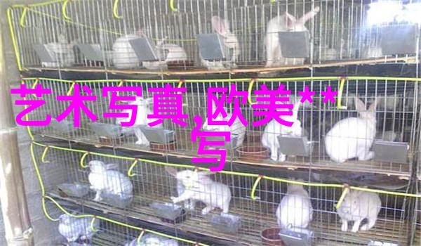 法国时尚台时装秀我在巴黎的那场梦幻之旅穿越時尚界的璀璨夜晚