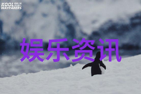 探秘娱乐圈的新宠深度剖析热门综艺节目的魅力与影响力