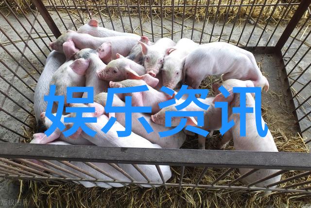 台湾警告大陆-跨海警笛台海紧张局势下的红线警告