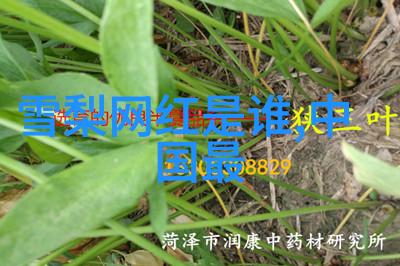 绽放求生之星龙崽宝宝的奇迹