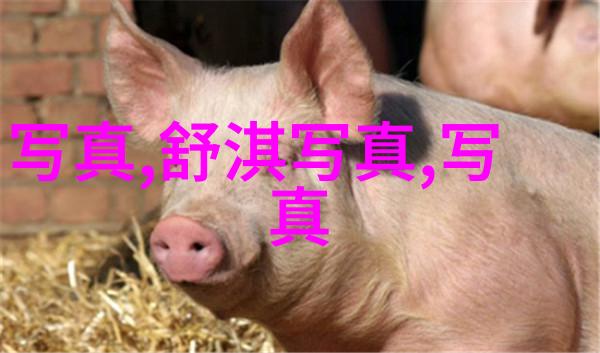 魅影视频的商业模式是什么样的能持续多久