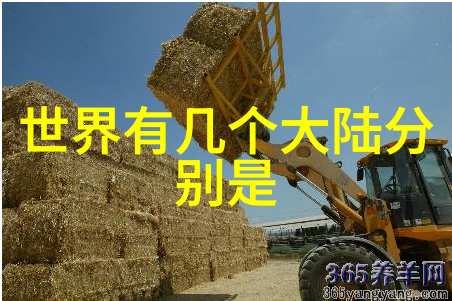 奥本海默作品中的历史深度解析