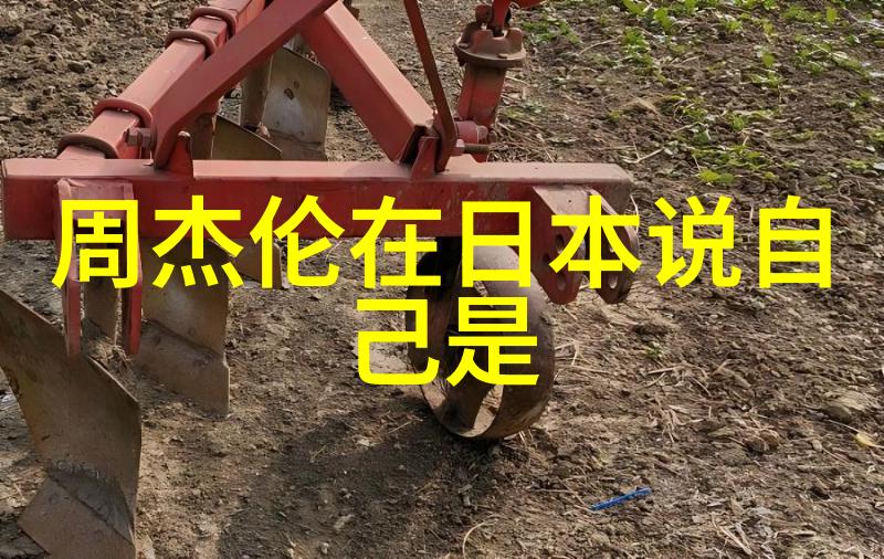 亲子之谜冯绍峰的真实探索