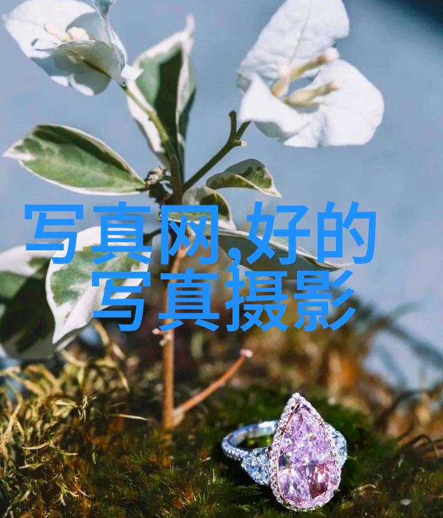 新闻头条破晓之声揭秘昨日世界的每一个角落