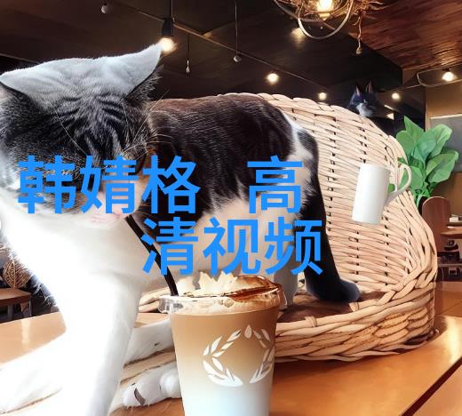 精选连续剧追逐美好故事的旅程