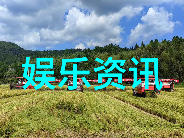 偶像现身综艺文化消费与青少年身份认同的互动研究