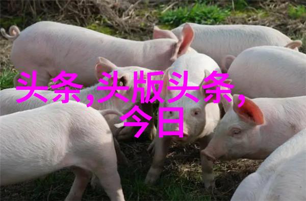 00后原创唱作人胡儆之新歌逍遥全网上线全新风格自有江湖态度引领社会音乐潮流成为最全免费音乐app的热
