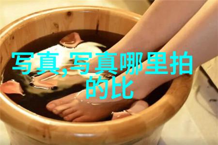综艺大观笑声与挑战的无限盛宴