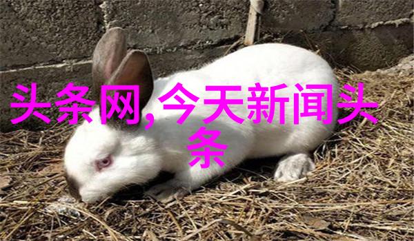 女孩抖音网名个性十足微信网名男生霸气反复呼之欲出