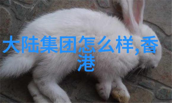 陈思诚暗示王宝强娱乐圈明星间的微妙互动