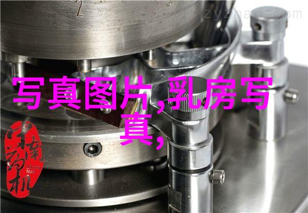 高分辨率写真展捕捉性感美女的迷人魅力