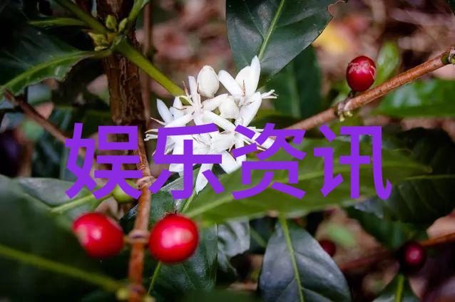 林心如为何跟羊道歉亲爱的客栈播出笑skr人