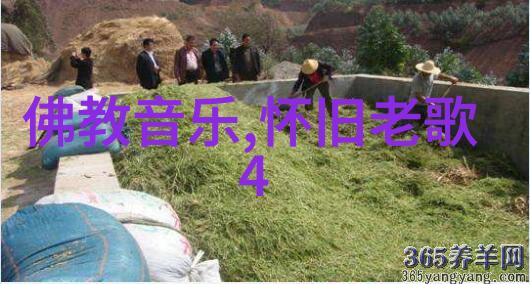 直播革命探索可约可空降的新兴流媒体体验