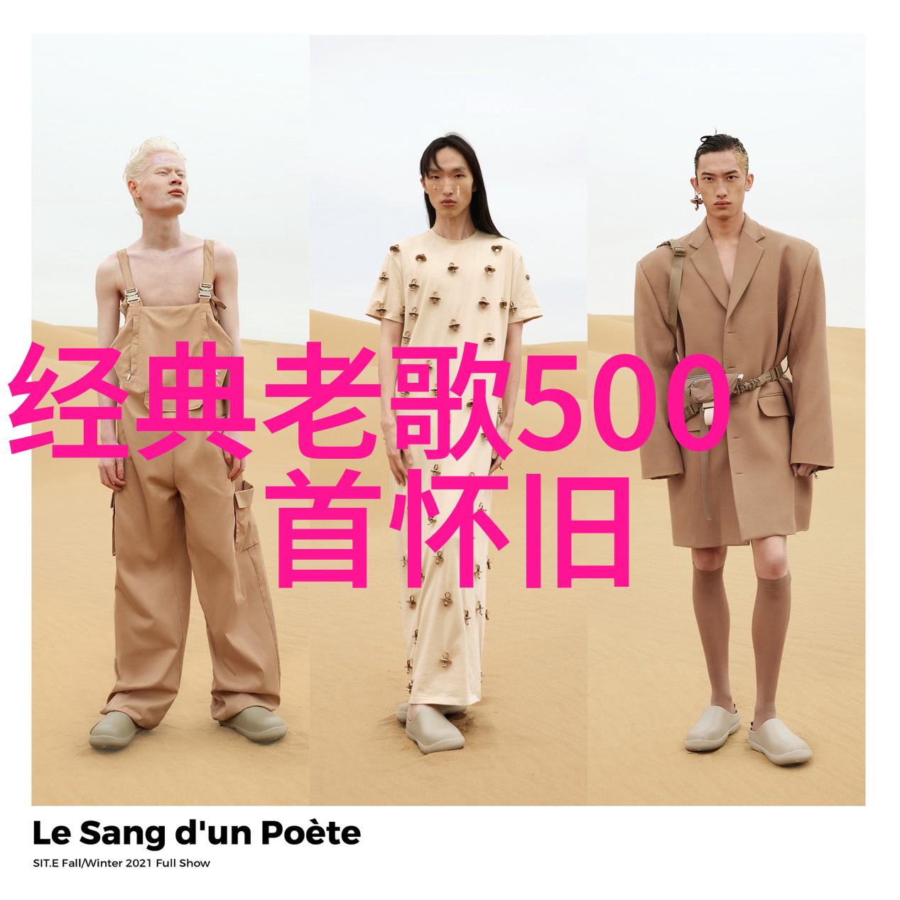 新西游记探索未知的美丽世界