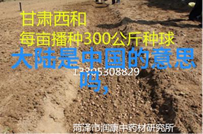 电影票房战哪些因素决定一部电影的成功