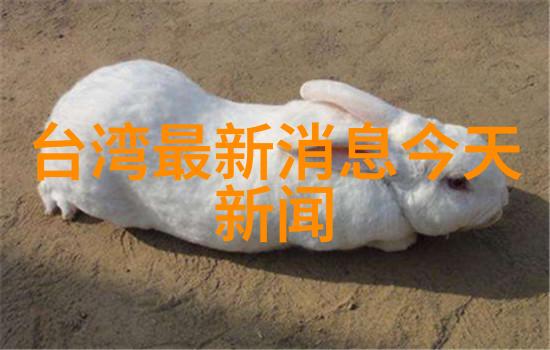 台湾佬中文娱乐 - 舞动心情台湾艺人在华语乐坛的辉煌足迹