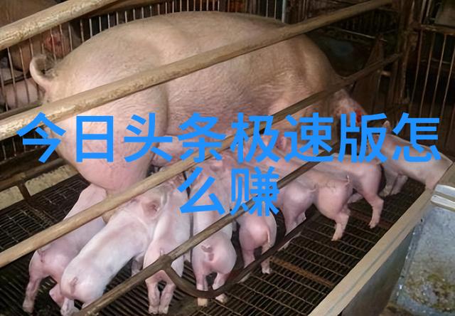 阿汤哥爱女进出美容院 看球无聊吞拳头