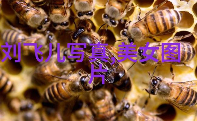 张榕容合法伴侣今日亮相 气氛组成赫敏真实再现