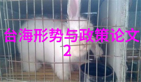 全球视野综艺3国智在推广国际友谊方面的作用