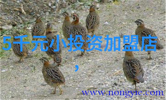 重铸传奇一位英雄的再起