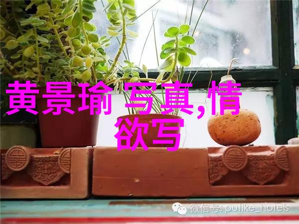 东与政-东方文化的政治智慧探索传统与现代政体的融合