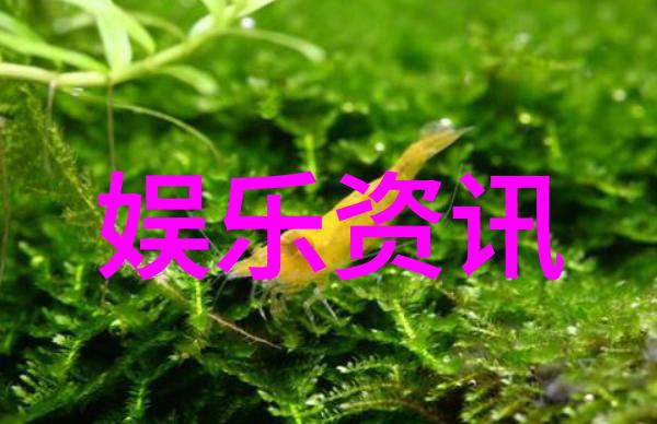 昵称大全男生霸气逆袭之路自我激励的网名选择2019 - 任你爱不爱我都在这里疼自己
