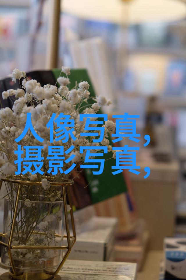 欧洲风情的静谧之美一场穿越时光的摄影之旅