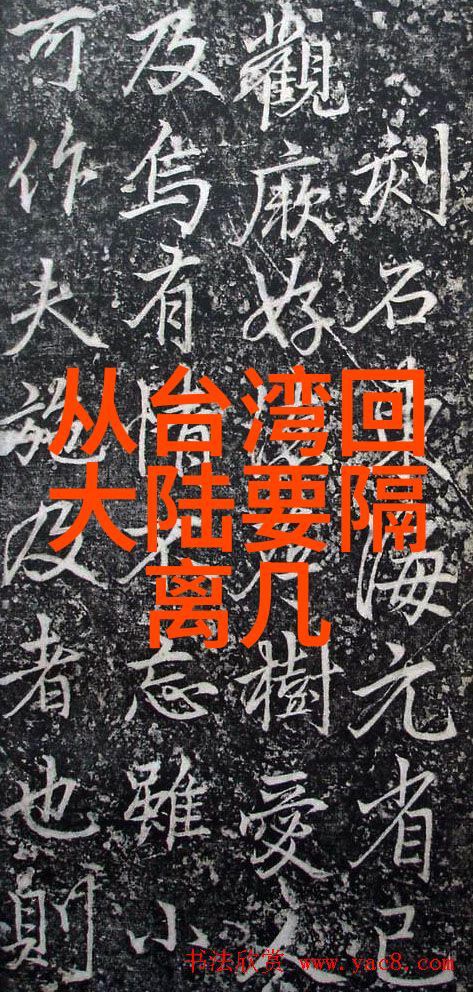 时尚女秋装系列女秋季时尚服饰