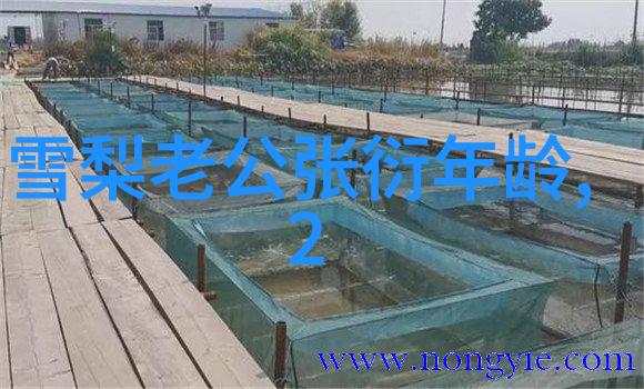 吴亦凡性侵案件娱乐圈风暴与法律追责的双重考验