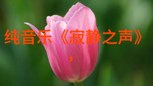 3比3咱俩的足球对决
