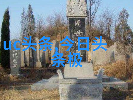 家风续章都市家庭的温馨篇章