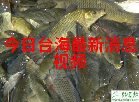 揭秘命运八字命盘全面解析