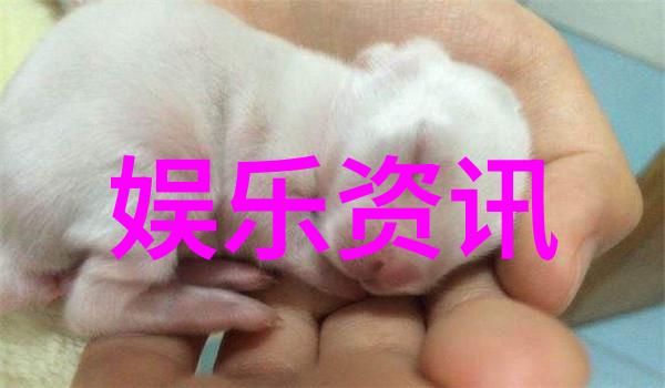 中国高等教育自主划线院校名单34所高校自主划线的专业目录