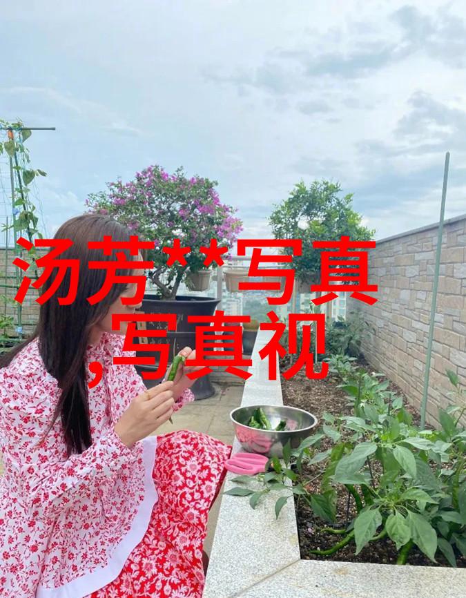 红毯闪耀探秘娱乐圈背后的光与影