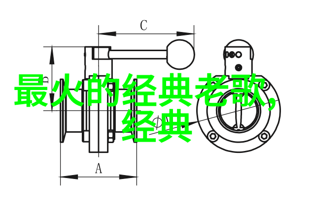 娱乐圈演技帝在社会舞台上闪耀光芒