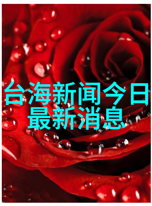 导演独白创作过程与灵感来源