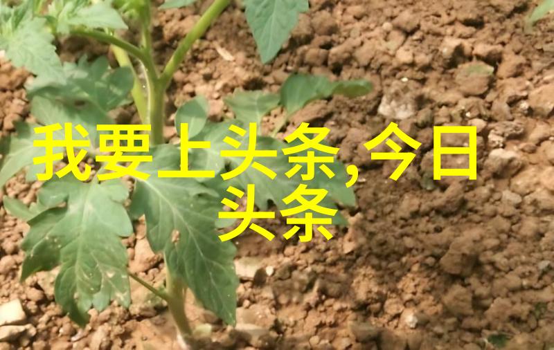 悦凯娱乐携手中国好声音庆祝十周年三亚盛典上演人性光辉