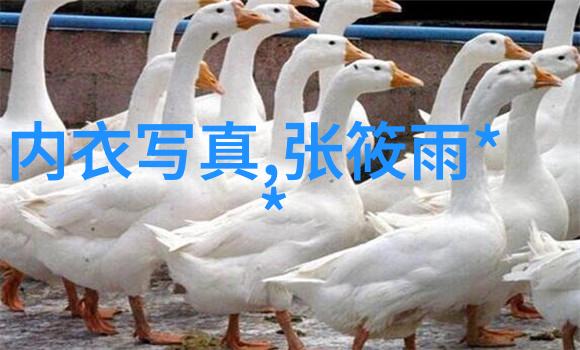 俄中关系新里程碑俄罗斯承诺归还中国领土