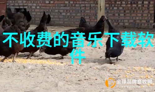 16gipad亲测体验如何用它来提升日常效率